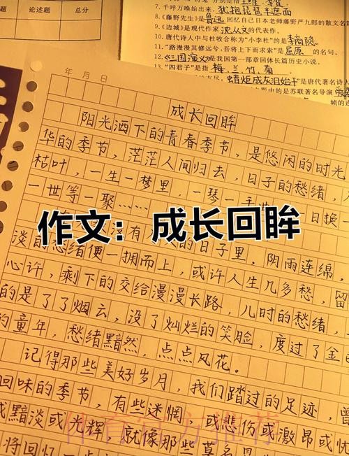 一次回眸 一个转身——朔承成长记